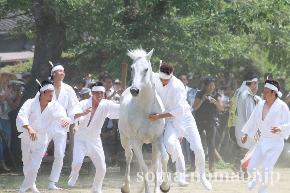 野馬懸